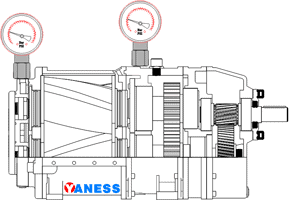 Fully supported rotary lobe pump