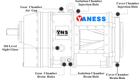 Rotary Lobe Pump Exterior Structure