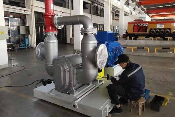 yaness large lobe pump